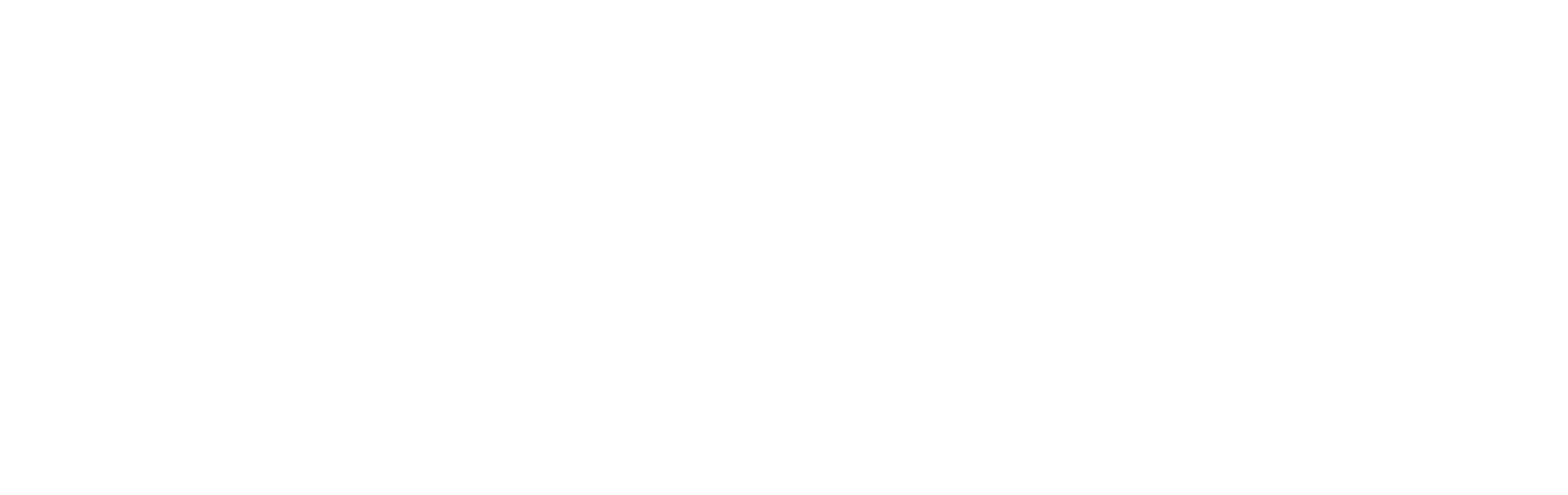 智慧星光 · 全球领先的大数据与决策智能服务商